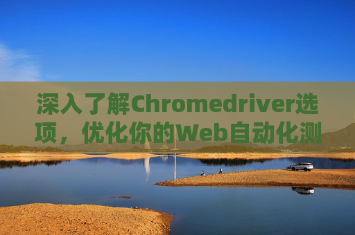 深入了解Chromedriver选项,优化你的Web自动化测试体验 深入了解Chromedriver选项,优化你的Web自动化测试体验