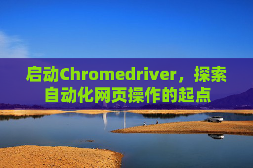 启动Chromedriver,探索自动化网页操作的起点 启动Chromedriver,探索自动化网页操作的起点