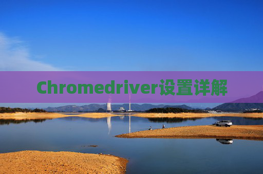 Chromedriver设置详解 Chromedriver设置详解