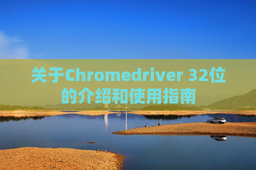 关于Chromedriver 32位的介绍和使用指南
