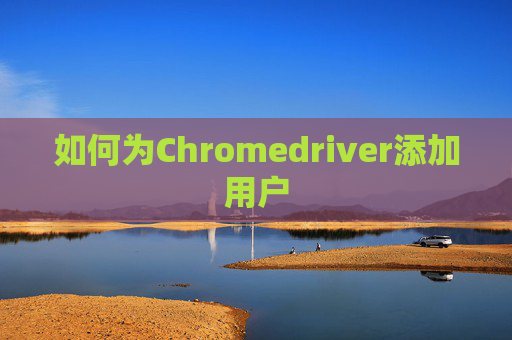 如何为Chromedriver添加用户
